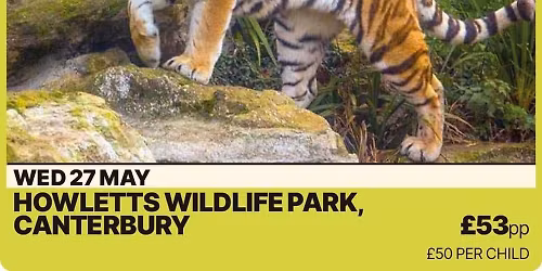 Howletts Animal Sanctuary -Wednesday 27th May A24 Route