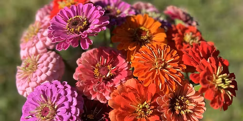 Beer & Blooms: Peak Fall Flowers Edition (2026)