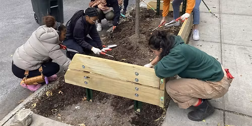 Street Tree Care w\/ Sunnyside Shines BID