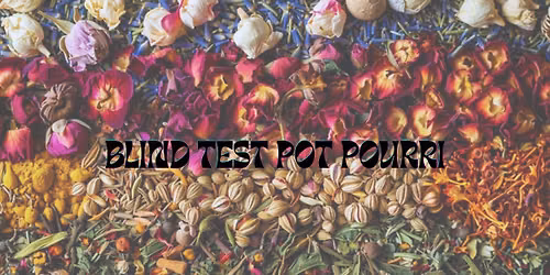 Blind test pot pourri \/Pdz
