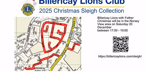 Christmas Sleigh Collection