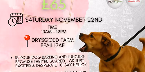 (NEW DATE) REACTIVE DOG WORKSHOP 