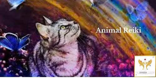 Animal Reiki Course