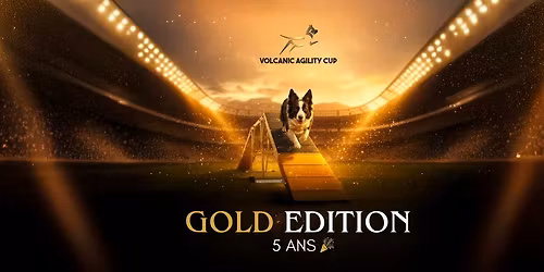 Volcanic Agility Cup 2026 - GOLD EDITION