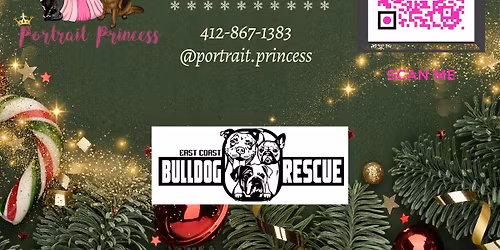 HOLIDAY PET PHOTOS @ PET SUPPLIES PLUS - BETHEL PARK