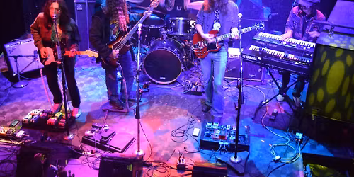 Experience Live at Row Boat Willie\u2019s