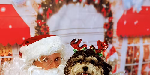 Pups, Pints & Santa Photos at Axelrad