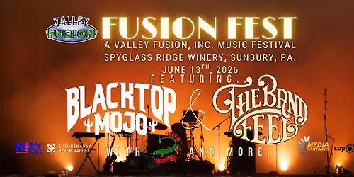 Fusion Fest  A Valley Fusion, Inc. Music Festival Supporting Local Music Programs