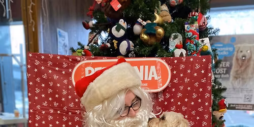 Santa Paws at Petmania Sligo
