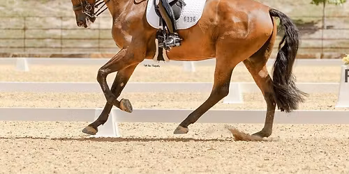 Wisemans Dec 6 Unofficial Members Only and Dec 7 Official Non-members & Members Dressage Competition