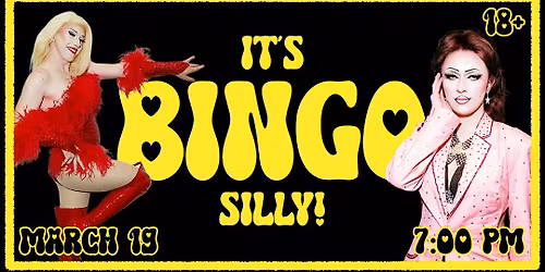 It\u2019s Bingo Silly!