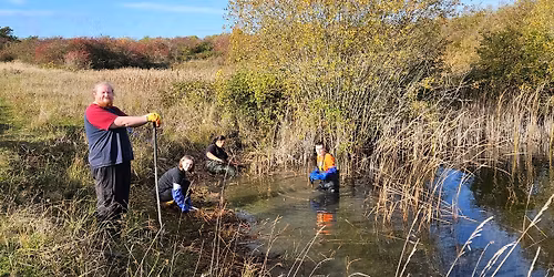Volunteer Day \u2013 Hampton Nature reserve