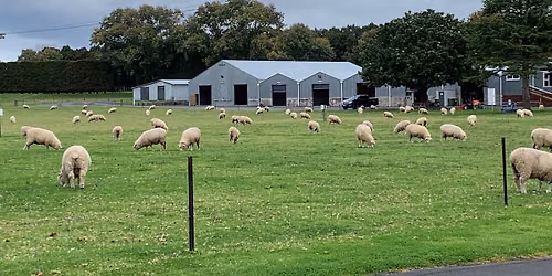 Woolfest Auckland