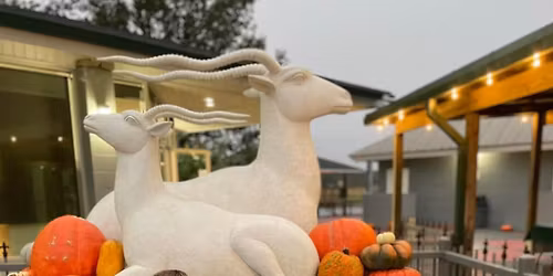 Fall Fest at Global Wildlife Center