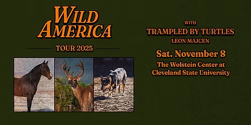 Turnpike Troubadours: Wild America Tour
