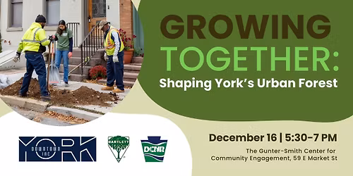 Growing Together: Shaping York\u2019s Urban Forest