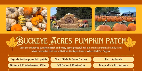 Pumpkin Patch at Buckeye Acres