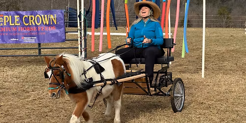 *PENDING* Obstacle Play Day!