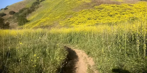 SUN 12\/21 9AM Trail Work\/Brushing on Easy Street in Chino Hills State Park
