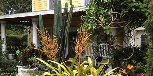 Friends of the Seminole Heights Library Garden Tour