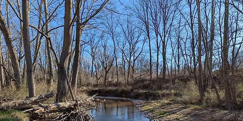 Give Back to Nature at Graham Nature Preserve