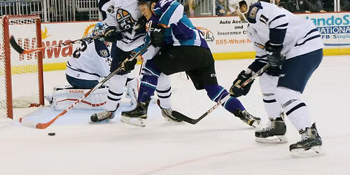Orlando Solar Bears at Florida Everblades