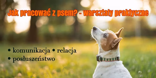 Warsztaty z psem: komunikacja, relacja i pos\u0142usze\u0144stwo | konsultacje na \u017cywo @tylkodobrepsy