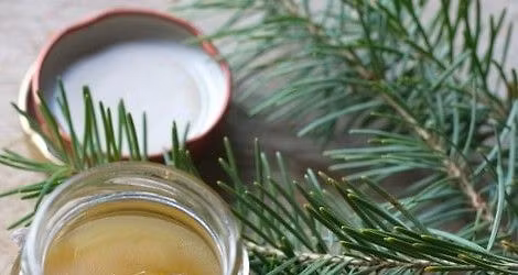 Herbal Salve Making Workshop