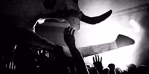 FESTIVAL DU ROCK ET DES VACHES #26