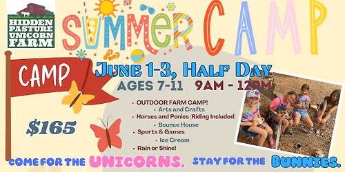 3-Day Summer Camp June 1-3, HALF DAY 9am -12 pm