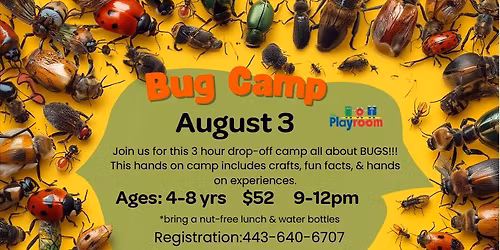 Critter Camp: Bugs at The Playroom