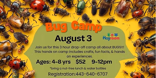 Critter Camp: Bugs at The Playroom