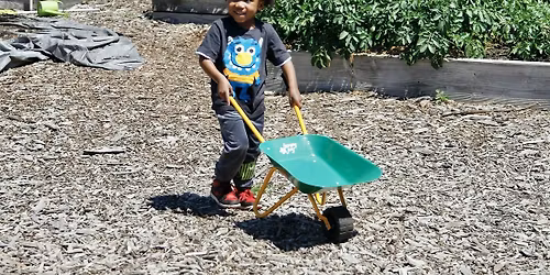 Toddler Play Dates at the Farm
