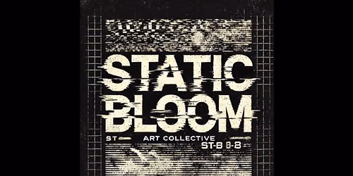 Static Bloom  |  Art Collective  |  First Friday Opening at LVAC