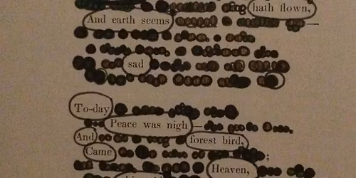 Morning Flow Poetry with Jessie Haase