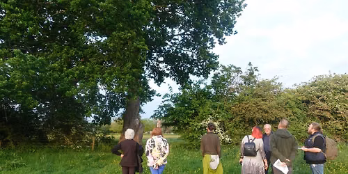 Bat Walk with Worcestershire Wildlife Trust at Ghulevelt Park