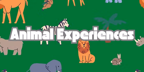 Animal Experiences with Dave Marchetti