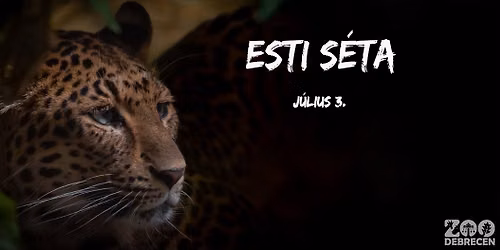 Esti s\u00e9ta II. 