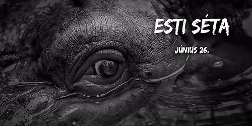 Esti s\u00e9ta III.