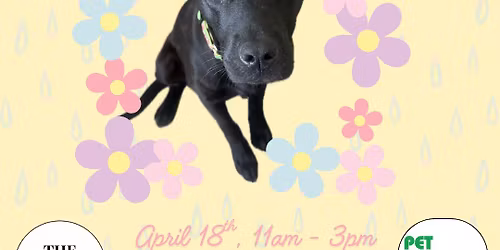 April Showers Bring May Flowers: Adoption Event
