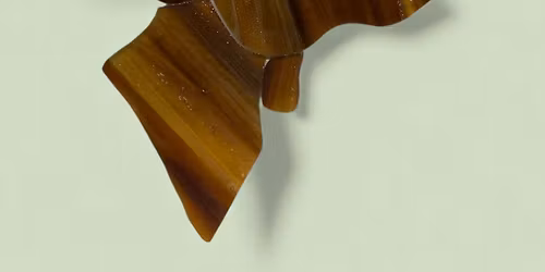 01-24-2026 Moose head - Beginner Stained Glass