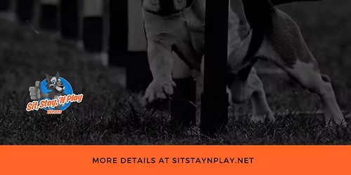 Agility Run Thru\u2019s