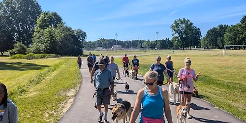 Packwalks (Socialization Training)