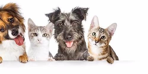 Whiskers and Woofs Winter Fest