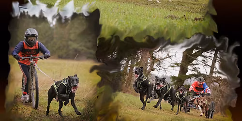 Jarn\u00e9 k\u00e1ry Mo\u0161ovce