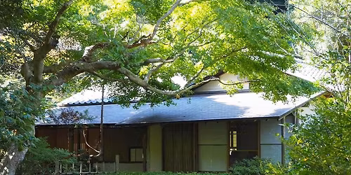 \u8336\u306e\u6e6f\u5ba2\u4f5c\u6cd5\u30d6\u30fc\u30c8\u30ad\u30e3\u30f3\u30d7