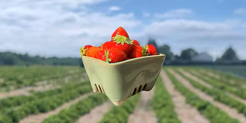Berry Basket ft. The Kiln Room Ceramic & Art Studio