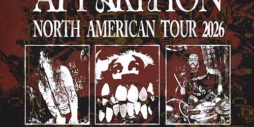 Portraits of an Apparition