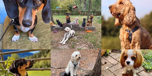 Special-Auslastung f\u00fcr den Silvesterabend