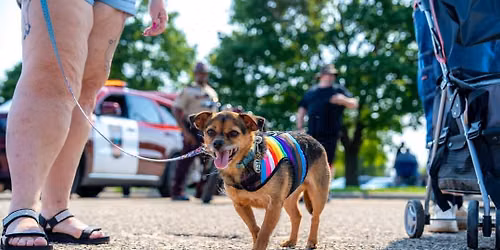 Fast & Furriest: Heroes and Paws
